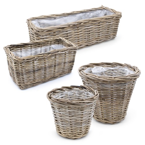 Weide blumen topf - blumen,