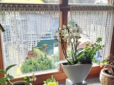 Häkelgardine ,Handarbeit,neu