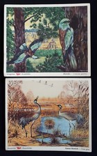 VOSS Margarine Kunstbilder