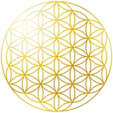 Blume des Lebens Aufkleber 50