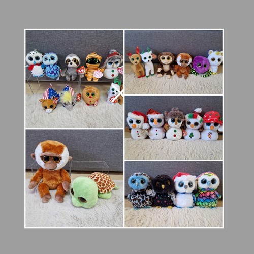Beanie boo glubschis - beanie,
