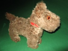 AUSDRUCKSVOLLER ALTER HUND MIT