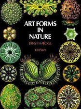 Ernst Haeckel | Art Forms in