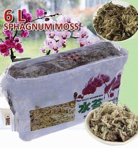 12l sphagnum moisturizing - 6/12l,