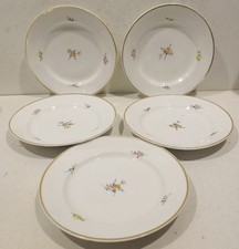 5 alte Porzellan Teller No.213  Dm. 20,5cm  mitBlumendekor und Goldrand
