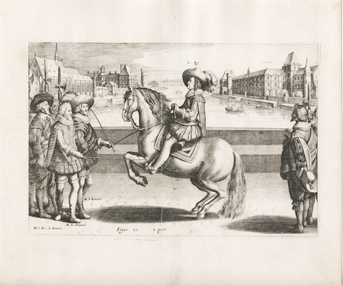 Reitschule riding school pferd - reitschule,