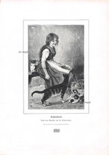 Katzenliesl - Hugo Oehmichen - 1903 - Historischer Kunstdruck ~20x28cm