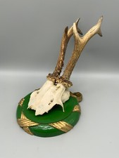 REH KIDS GEWEIH MONTIER AUF