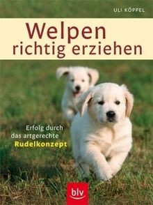 Welpen richtig erziehen