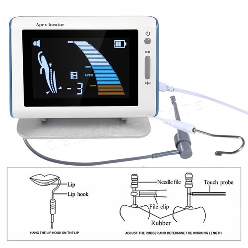 Dental apex locator - apex,
