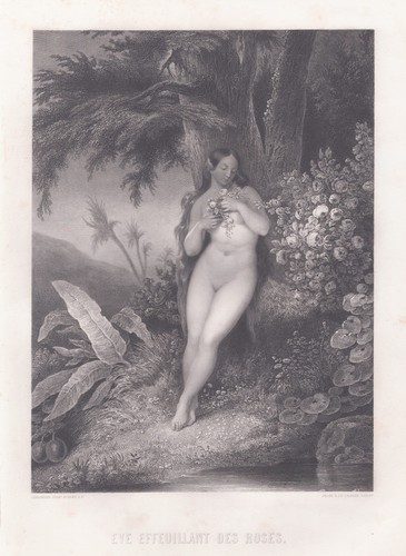 Eva eve paradies john - im,