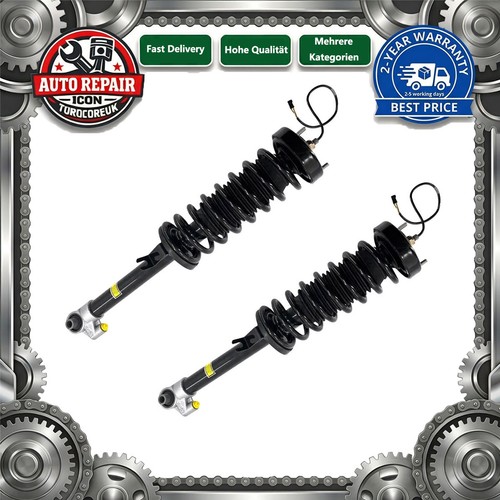 Stoßdämpfer hinten links - 2x,
