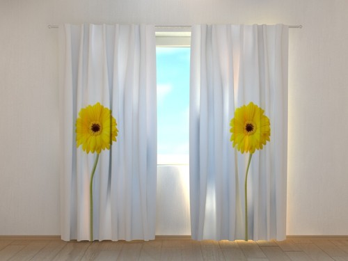 Fotogardine sonnenblumen - fotogardine,