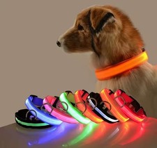 LED Hundehalsband Nylon Leine