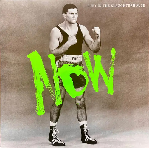 Fury the slaughterhouse - fury,