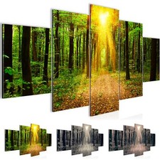 Wandbilder Wohnzimmer XXL Wald