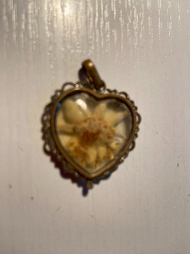 Vintage echter edelweiß - vintage,,