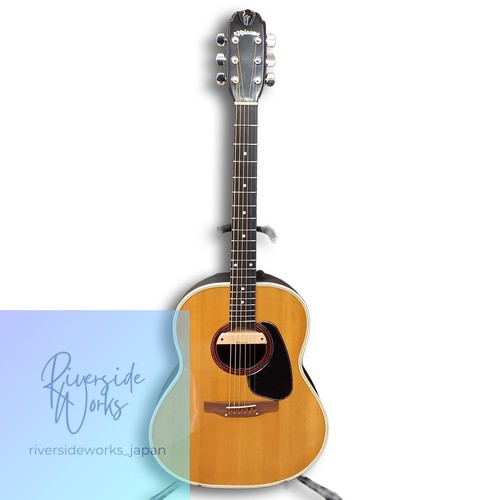 Applause akustikgitarre aa24 - applause, aa24-4