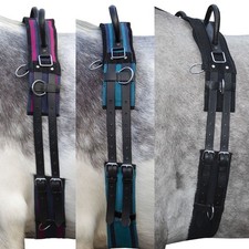 Longiergurt mit Doppelgriff