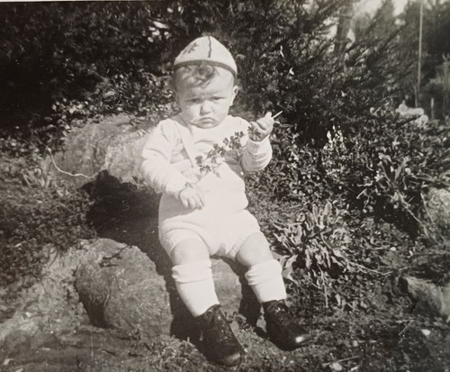Gnolen kleiner junge - gnolen,