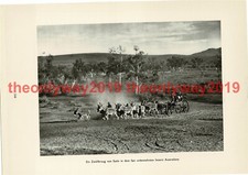 Esel (Maultier) Zug, Outback