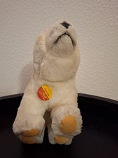 Steiff Eisbär Cosy Issy