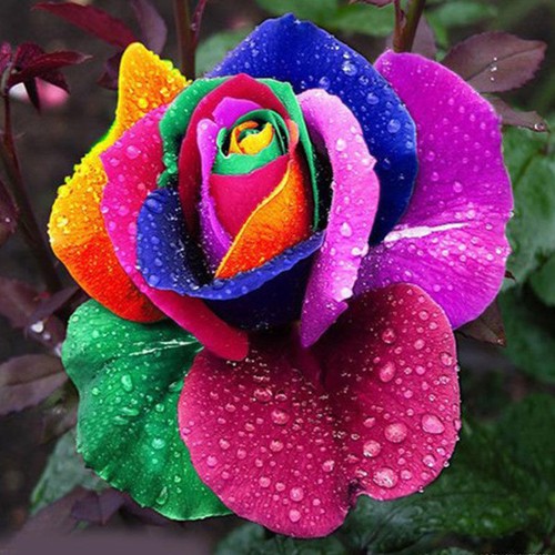 150 stücke bunte regenbogen - 150,