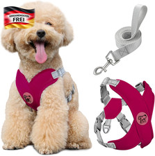 Hundegeschirr Leine Set