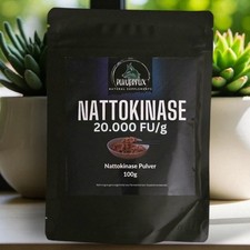 Nattokinase Pulver 100g
