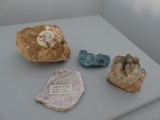 Sammlung / Konvolut - Mineralien - Gestein - Kristalle - Edelsteine - Fossilien