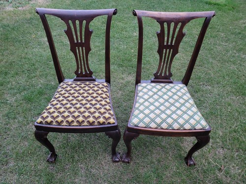 Paar chippendale revival - revival, 19