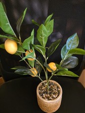 ZITRONENBAUM -- DEKO -- KUNSTPFLANZE -- ZITRONE -- ZITRUSBÄUMCHEN -- ca. 45 cm