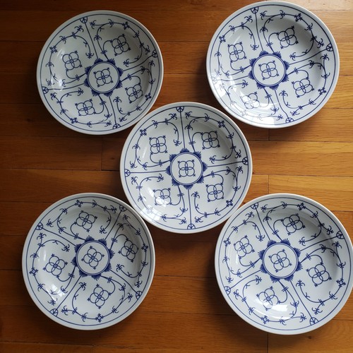 Winterling indisch blau - indisch,