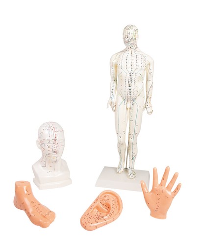 Akupunkturfigur set - akupunkturfigur,,