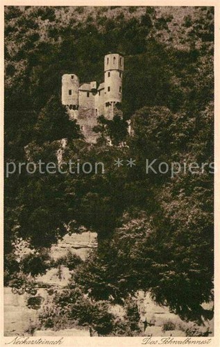 Neckarsteinach burg - neckarsteinach,