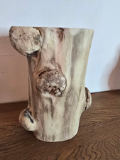 Baumstamm  Robinie mit