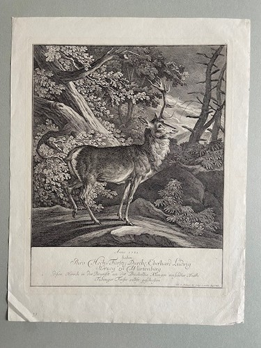 Johann elias ridinger - johann,