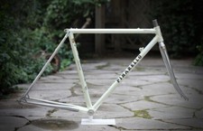 Pinarello Montello Columbus Frame / 49 cm / Pearl White / sl gavia Treviso Arche