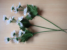 Floristik -  Margeriten -