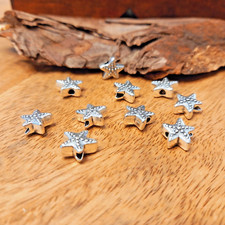 10 Motivperlen – Seestern