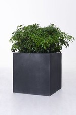 Pflanzkübel Blumenkübel