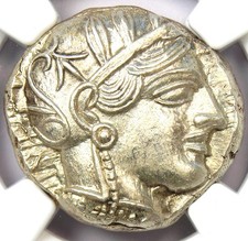 Attica Athens Athena Owl AR