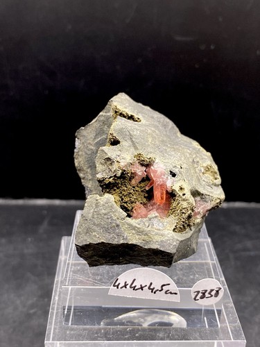 Rhodochrosit méxico - rhodochrosit,