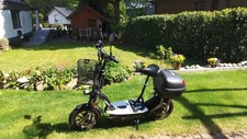 DER REVOLUZZER 20,4.0 600 W- E-Scooter 20km/h - 48V 20AH 