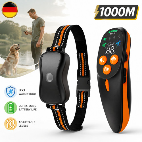 Hundetraining wasserdicht