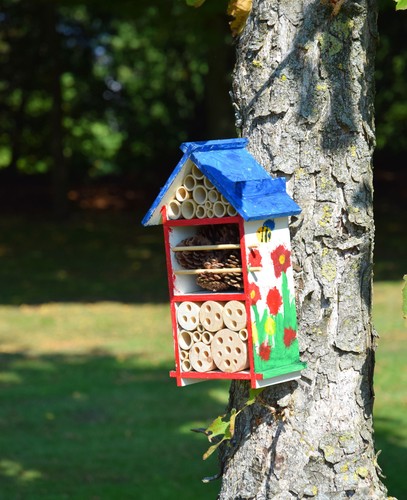 Insektenhotel bausatz zum - bausatz,