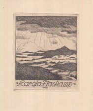 Exlibris Bookplate Radierungen Gerhard Wedepohl 1893-1930 Landschaft Burg