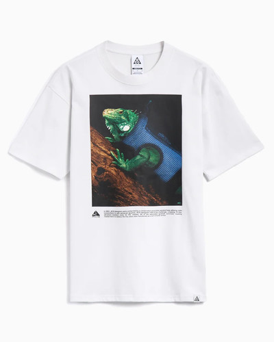 Nike acg dri fit shirt - nike, t-shirt