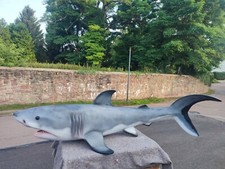 Hai lebensgroß Haifisch 2,58m