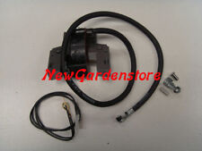 Spule Motor Aufsitzmäher